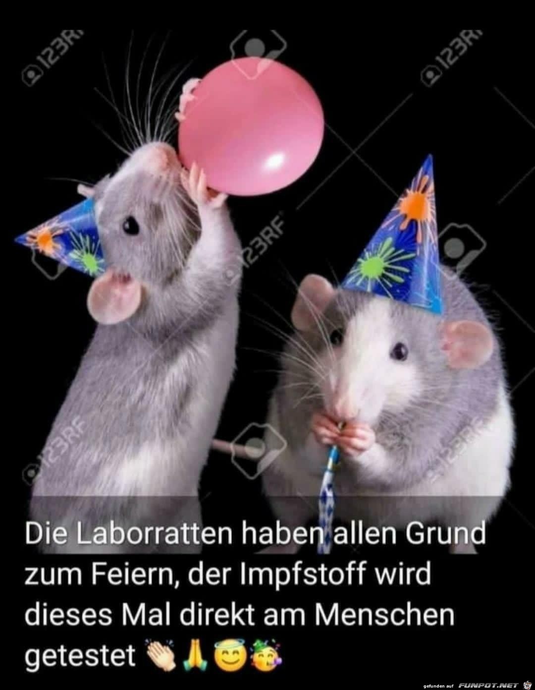 Laborratten