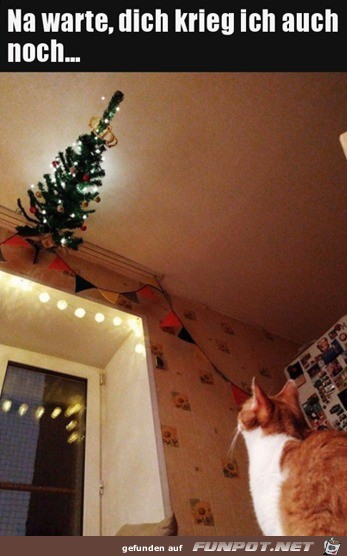 Katze will an Weihnachtsbaum ran