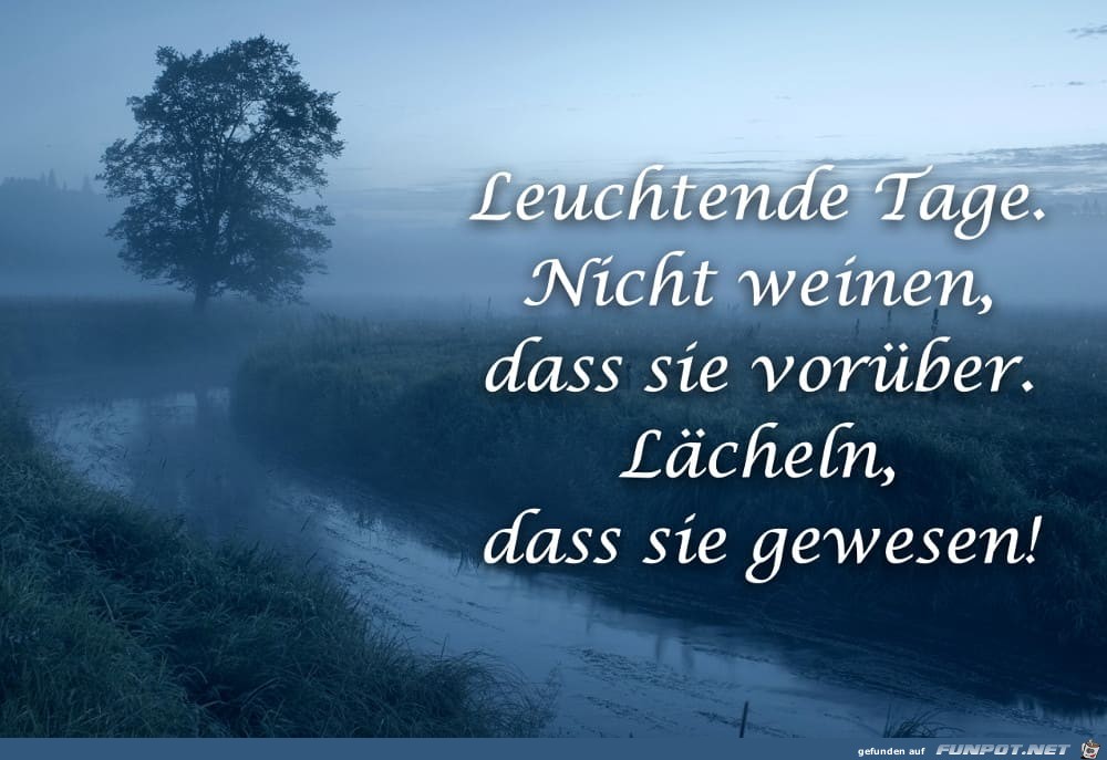 Leuchtende Tage