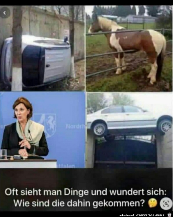Oft sieht man Dinge Oft sieht man Dinge