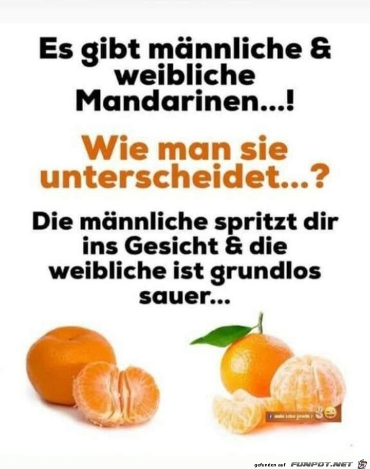 Mandarinen