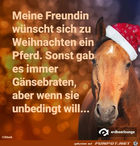 Meine Freundin wnscht sich zu Weihnachten...