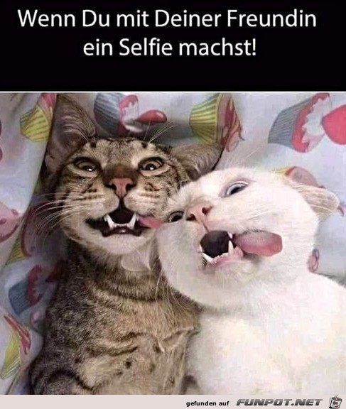 Lustiges Selfie