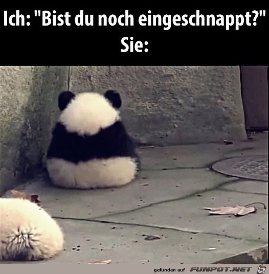 Bist du noch eingeschnappt?