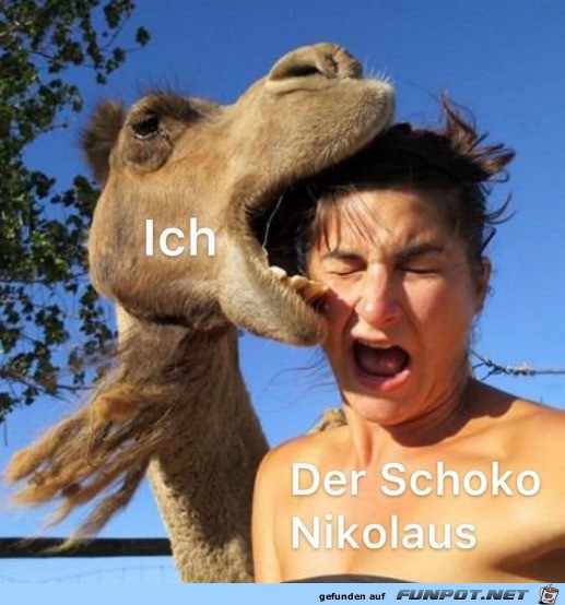 Der arme Schoko-Nikolaus