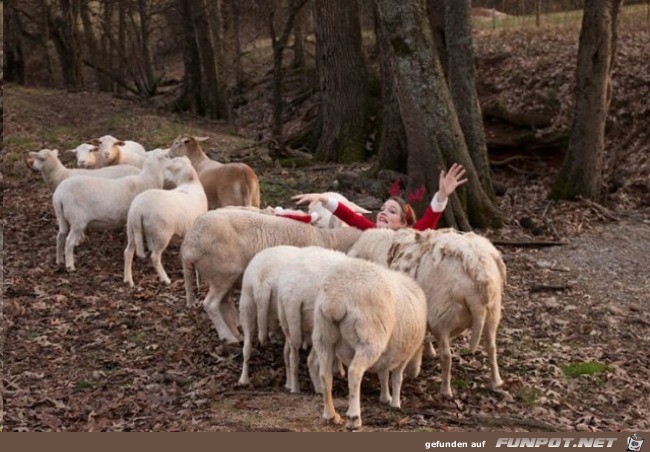 Die Weihnachtsfrau ist umzingelt