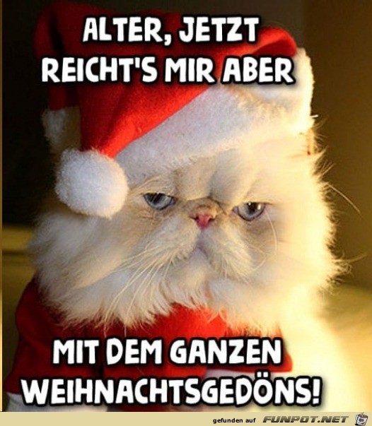 Zu viel Weihnachtsgedns