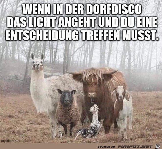 witzige Bilder aus verschiedenen Blogs