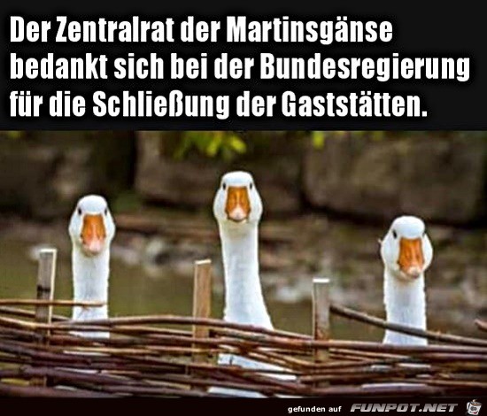 Die Martinsgnse