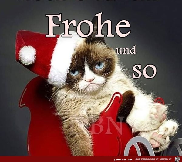 Frohe Weihnachten