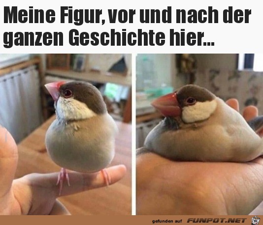 Meine Figur