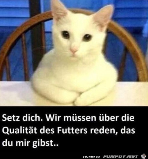 Wir mssen bers Futter sprechen