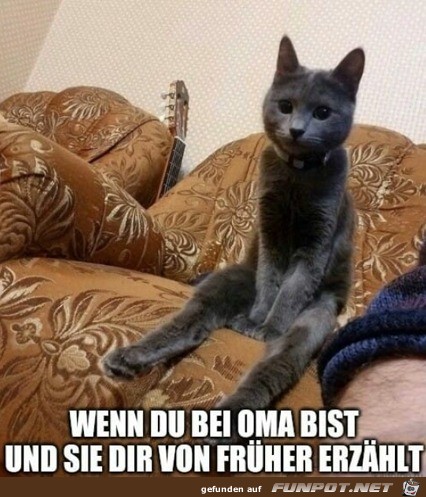 wenn Oma von frher erzhlt