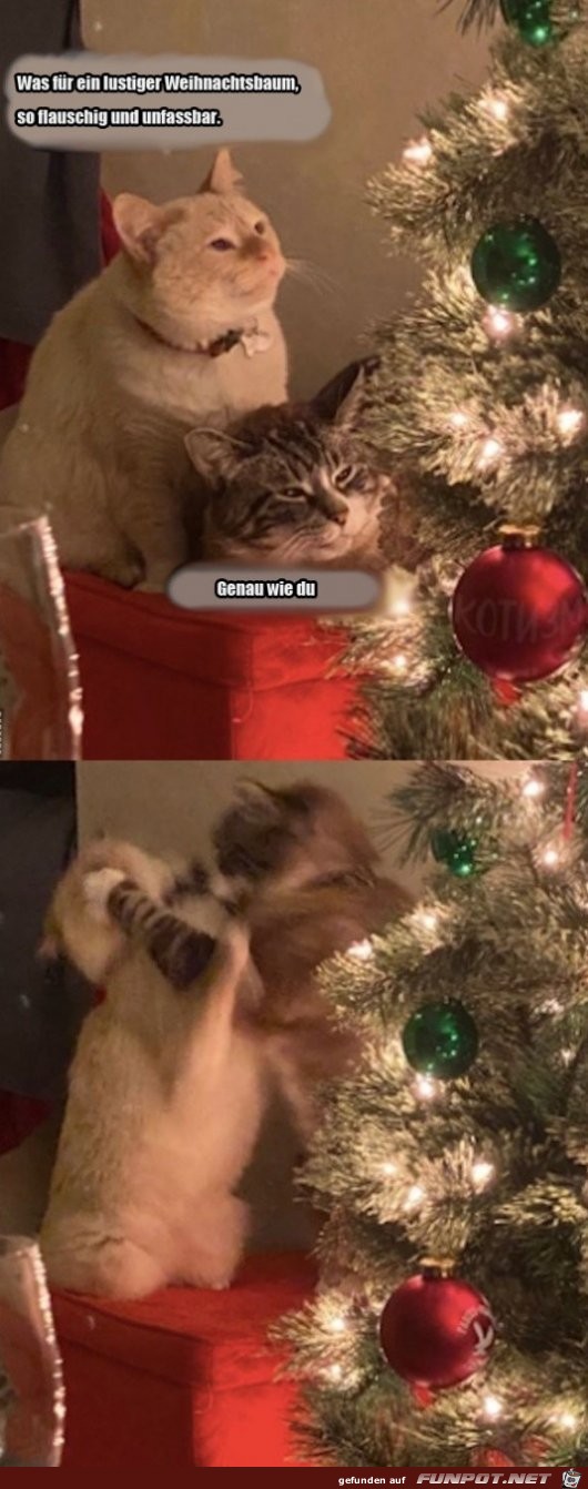 Katzengesprch ber den Weihnachtsbaum