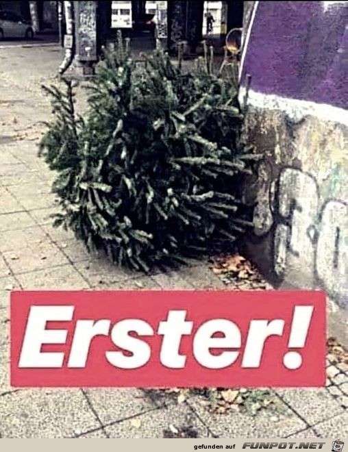 Erster bei der Christbaum-Entsorgung