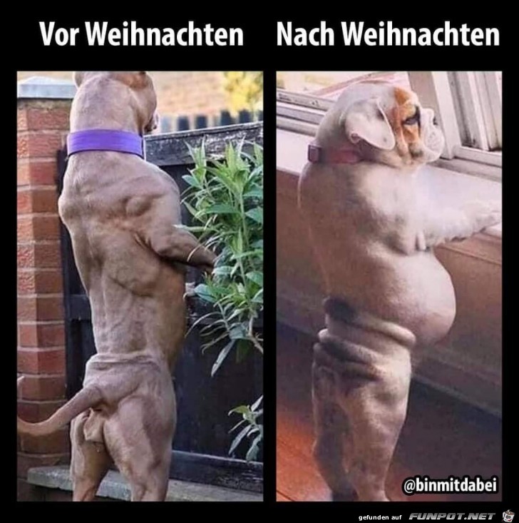 Vor und nach Weihnachten