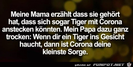 Tiger und Corona