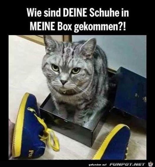 Das ist meine Box