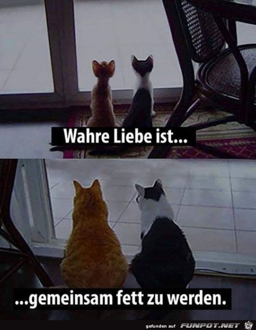 Wahre Liebe