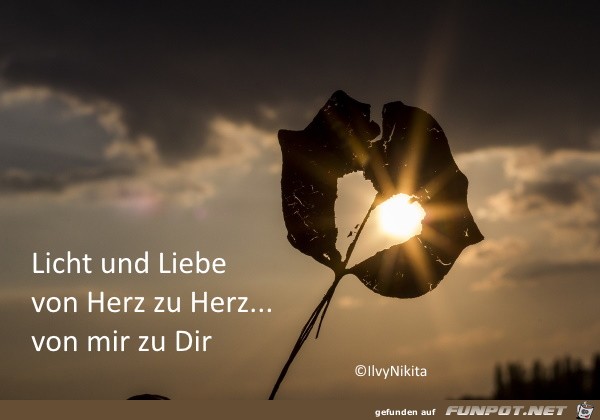 Licht und Liebe