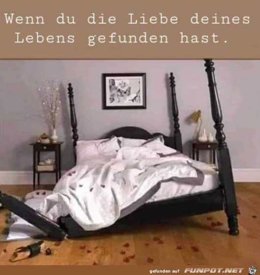 Die Liebe deines Lebens