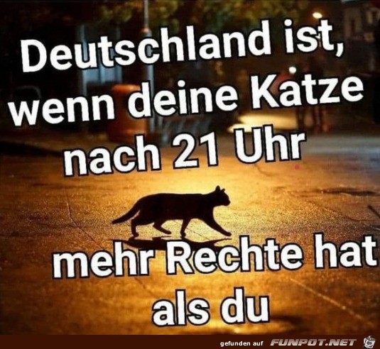 Katze darf mehr als du