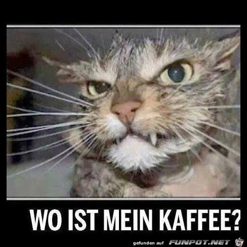 Wo ist der Kaffee?