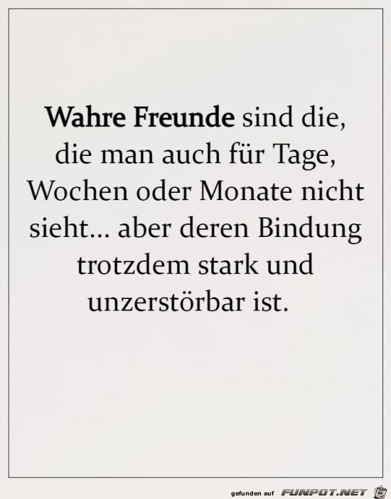 Wahre Freunde