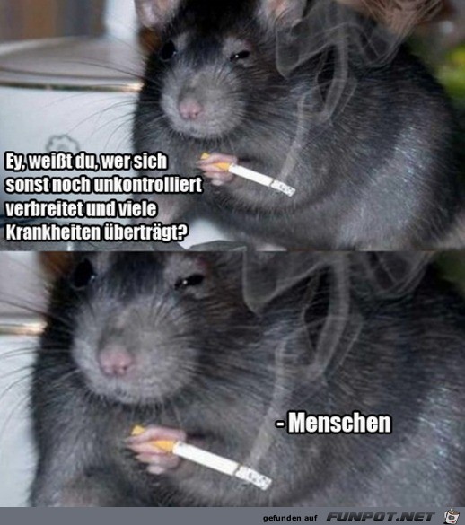 Wer bertrgt noch Krankheiten?