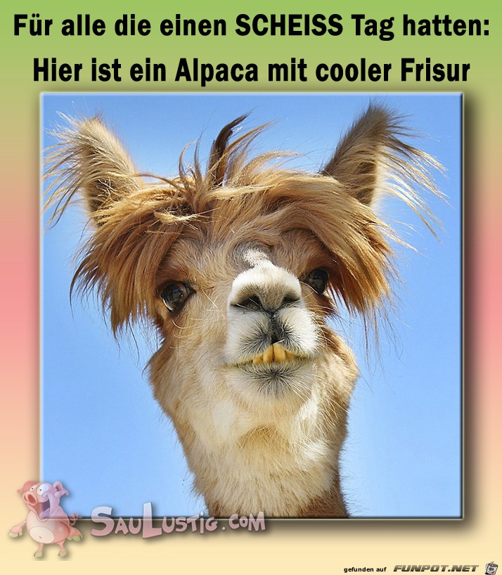 Coole Frisur