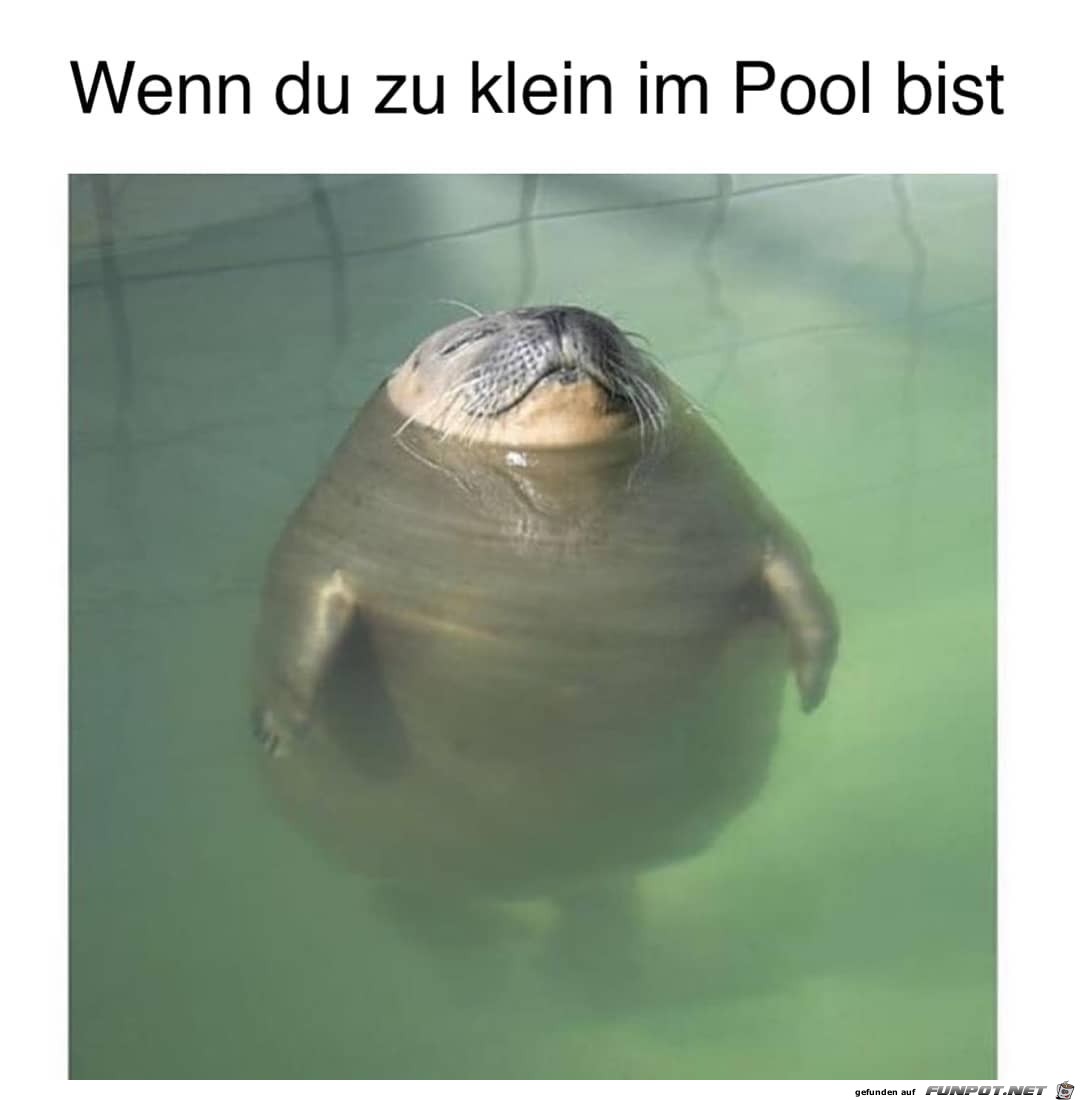 Zu klein im Pool