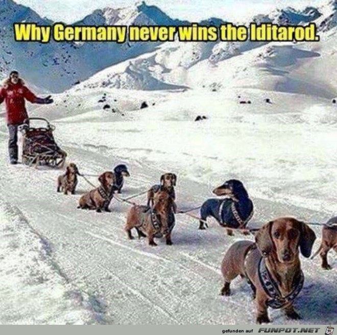 Germany Iditarod