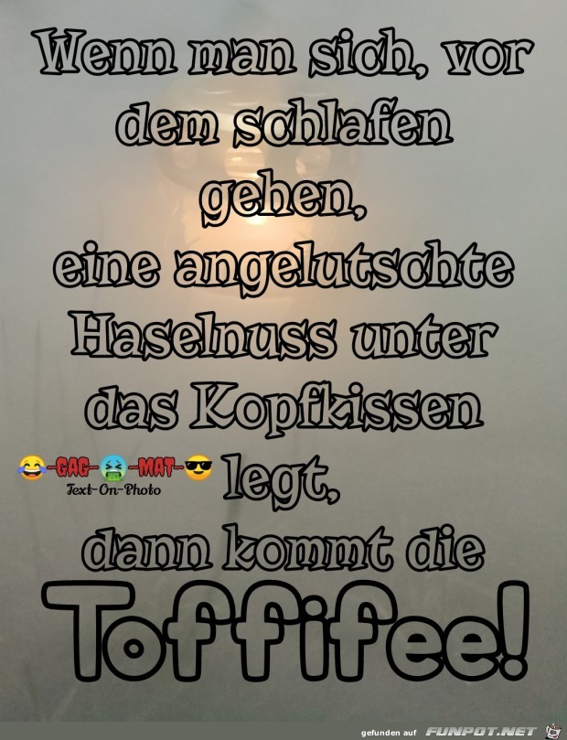 Die Toffi Fee