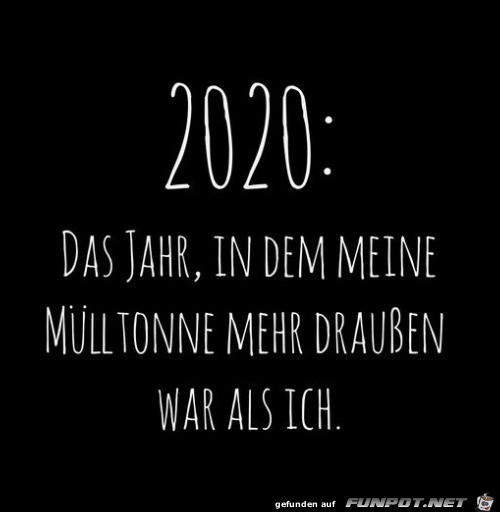 2020: Das Jahr in dem meine Mlltonne...