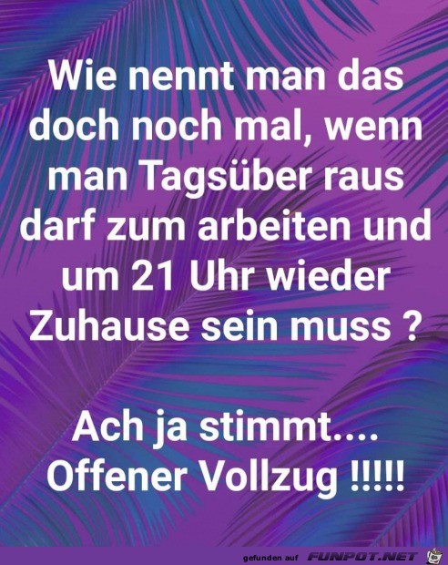 Offener Vollzug