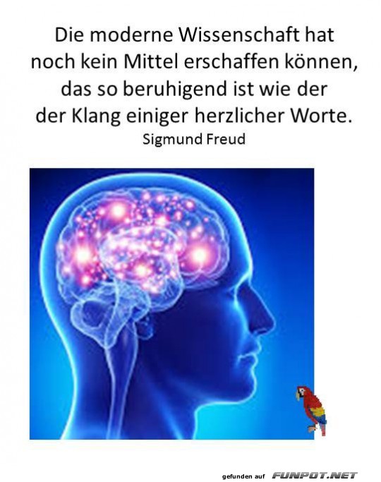 Die Wissenschaft Die Wissenschaft