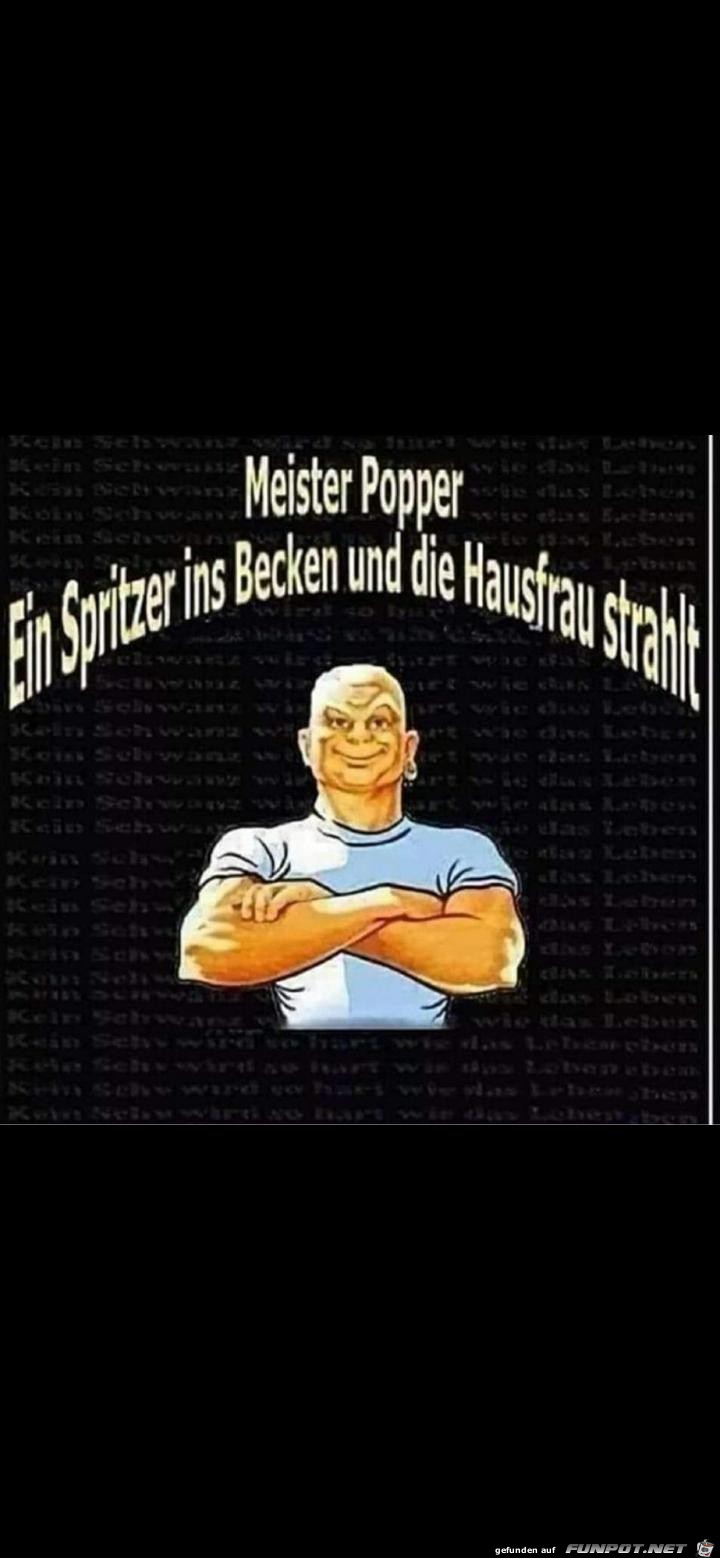 Meister Popper