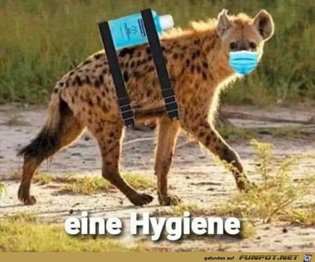 Eine Hygiene