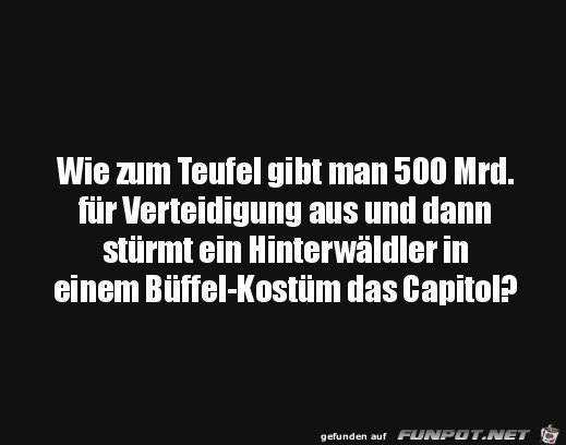 Wie konnte man das Capitol strmen?