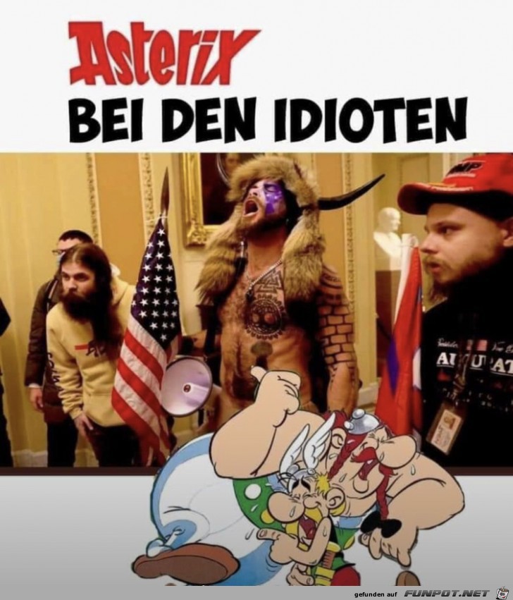 Asterix bei den Idioten