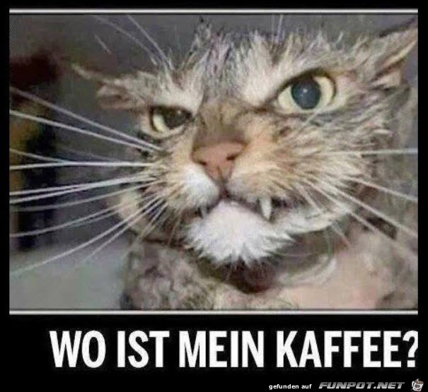 Wo ist der Kaffee?