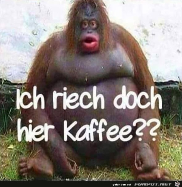 Ich rieche Kaffee