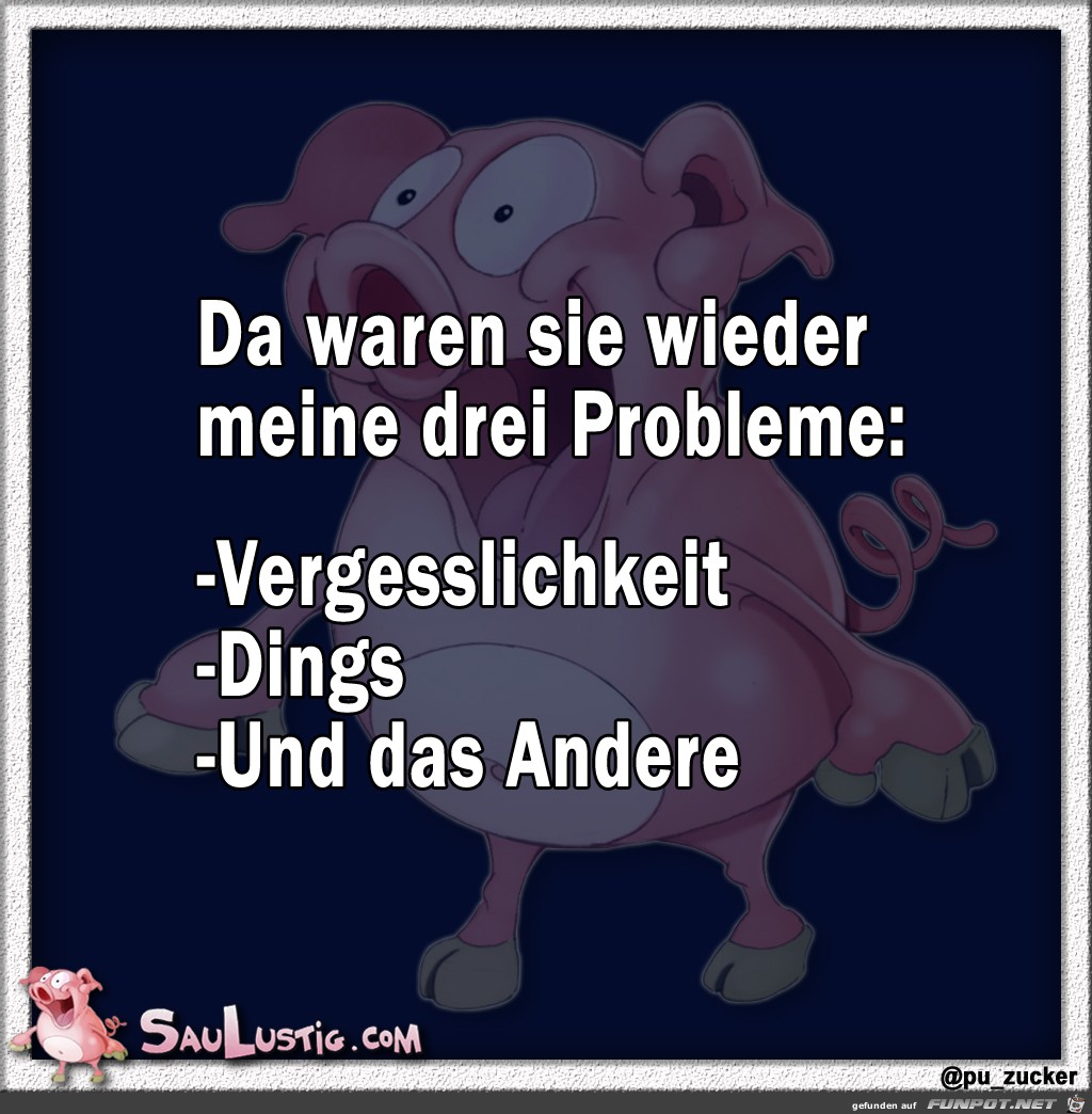 Meine drei Probleme