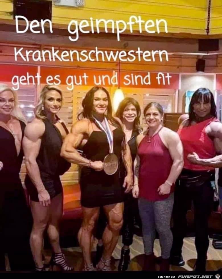 alle fit