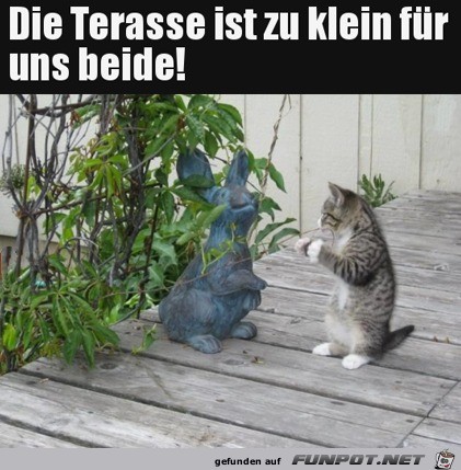 Die Terrasse ist zu klein