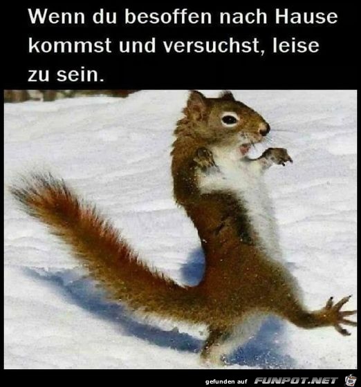 Wenn du leise sein willst