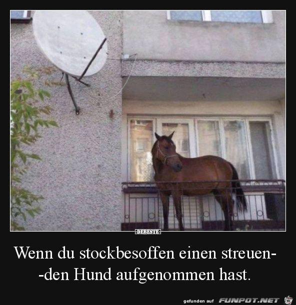 Stockbesoffen