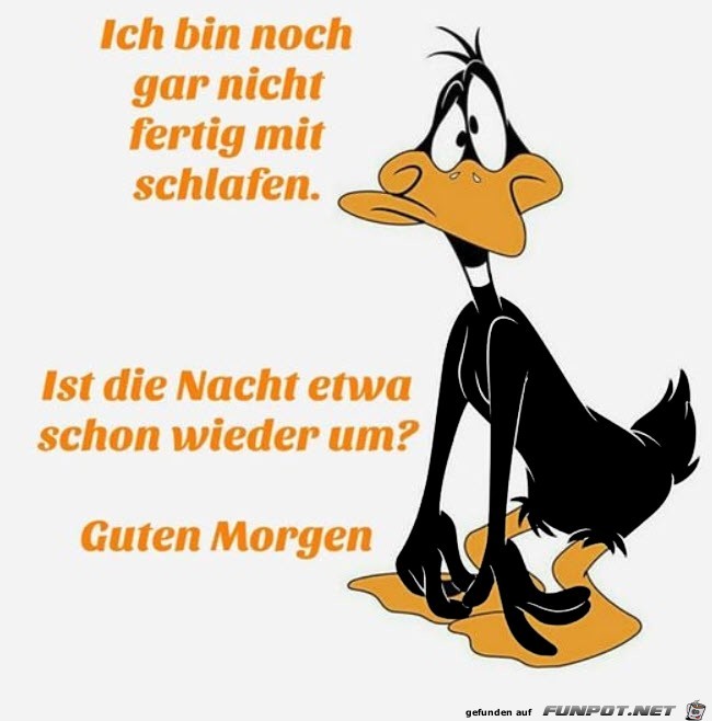 Guten Morgen