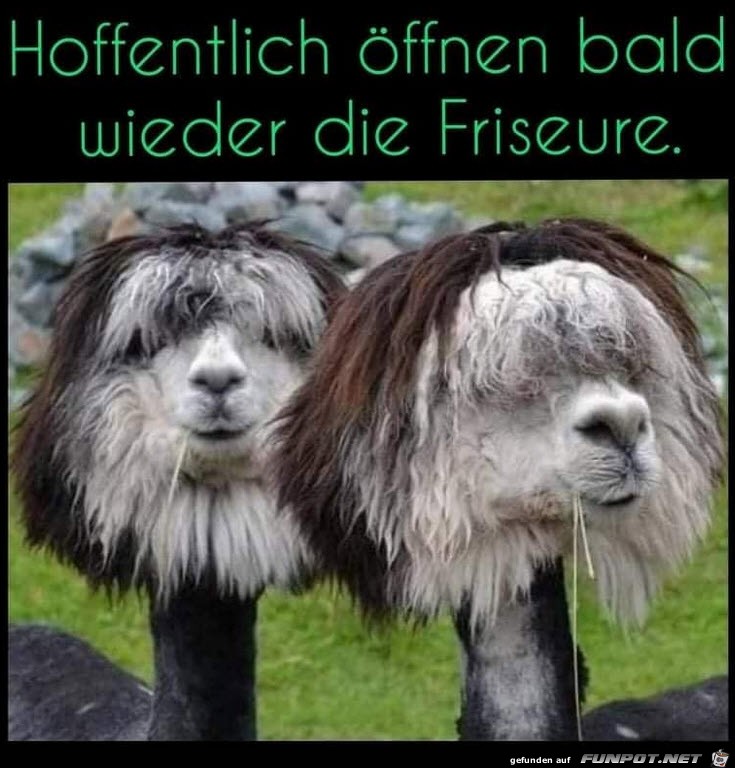 Die Friseure