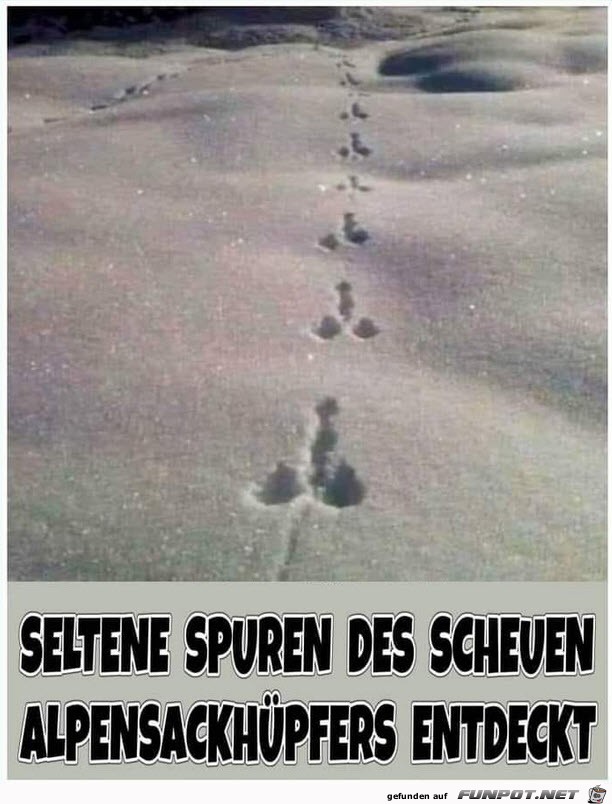 Seltene Spuren